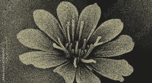 Monochrome grainy flower illustration creates an artistic and retro inspired vibe