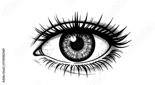 Detailed Monochrome Eye Illustration with Intricate Eyelashes and Textured Iris
