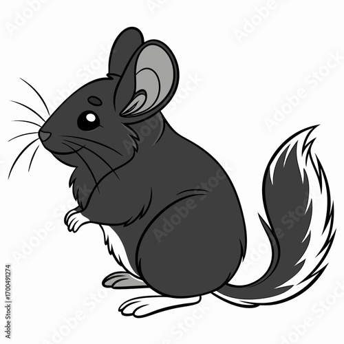 Cute Cartoon Chinchilla Illustration Standing Upright.