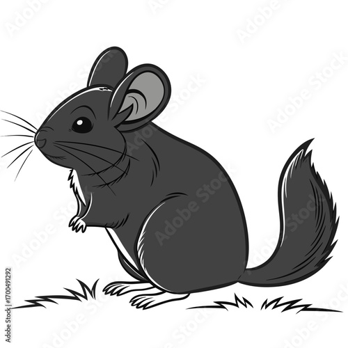 Cute Cartoon Chinchilla Illustration on White Background.