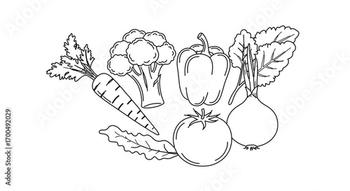 Hand drawn vegetables, a healthy and nutritious food for a balanced diet