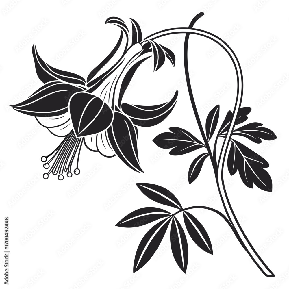 Obraz premium Elegant Black and White Flower Illustration.