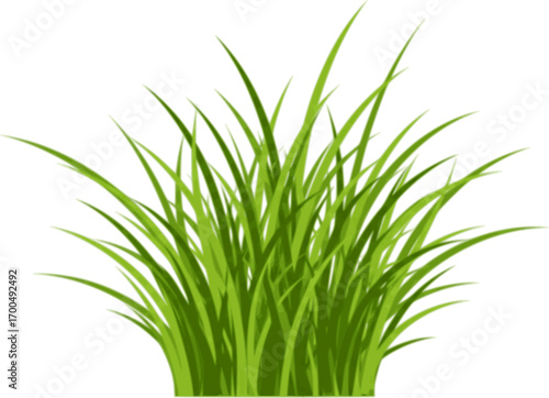 Green fresh young spring grass isolated on white background, vector illustration. Blade of grass and greenery bunch.