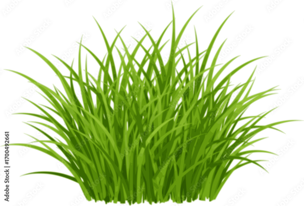 Fototapeta premium Green fresh young spring grass isolated on white background, vector illustration. Blade of grass and greenery bunch.