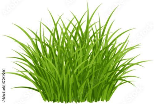 Green fresh young spring grass isolated on white background, vector illustration. Blade of grass and greenery bunch.