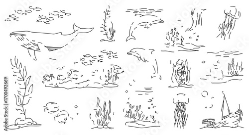 Underwater life sketch, a collection of marine creatures and plants in simple lines