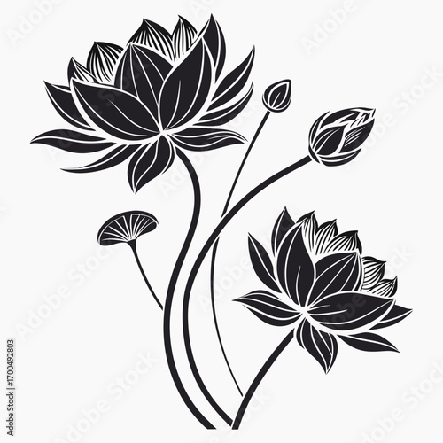 Elegant Black and White Lotus Flowers Illustration.