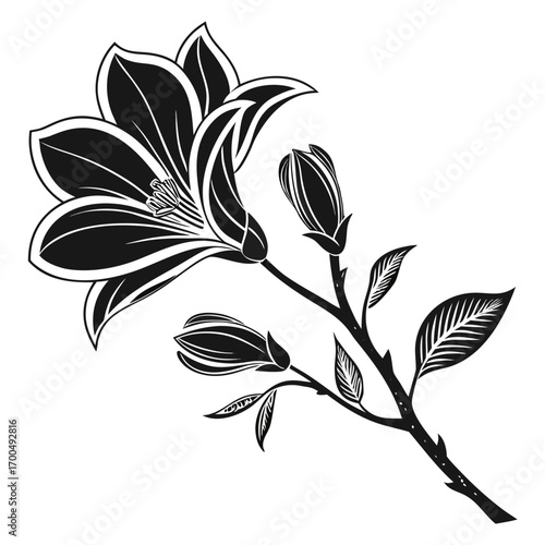Elegant Black and White Magnolia Flower Illustration.