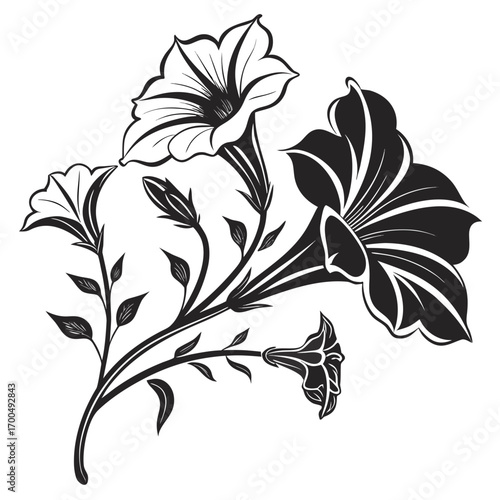 Elegant Black and White Petunia Floral Design.