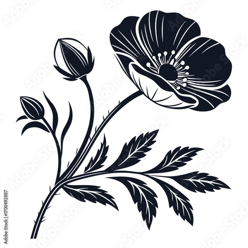 Elegant Black and White Poppy Flower Vector Illustration.