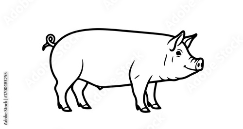 Illustration of a pig, depicting a domestic animal with a curly tail and snout