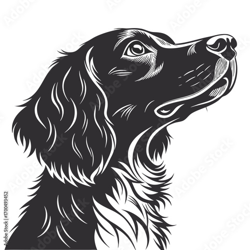 Elegant Dog Head Looking Up Vector Illustration.