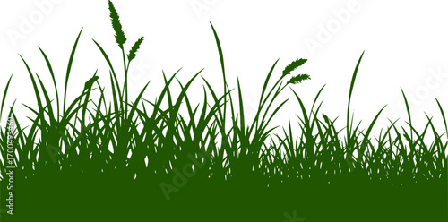 Template grass isolated on white background, vector illustration. Cutout thick herb plant. Horizontal banner of meadow silhouettes. Laser cut grassland. 