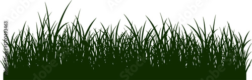 Template grass isolated on white background, vector illustration. Cutout thick herb plant. Horizontal banner of meadow silhouettes. Laser cut grassland. 