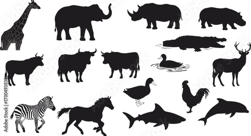 Photography Wild animal silhouettes collection, zoo animals, sea creatures, farm animals, ve