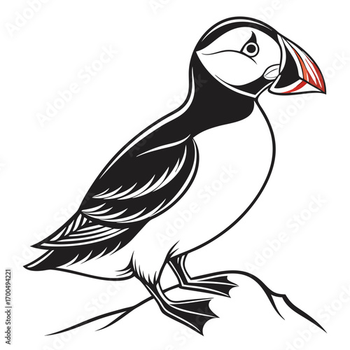 Stylized illustration of a puffin bird with a black and white body and colorful beak