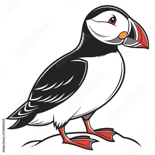 Cartoon puffin bird illustration