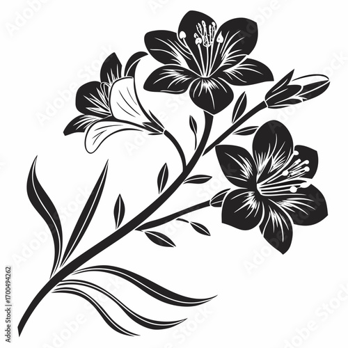 Black and white silhouette of a lily flower branch with buds