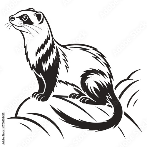 Stylized black and white illustration of a ferret sitting on a rock
