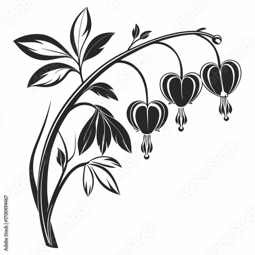 Bleeding heart flower silhouette with leaves and buds