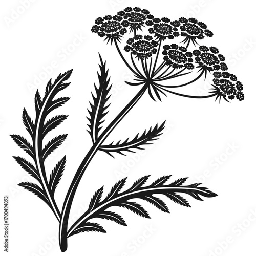 Black and white silhouette of a flowering plant with delicate leaves