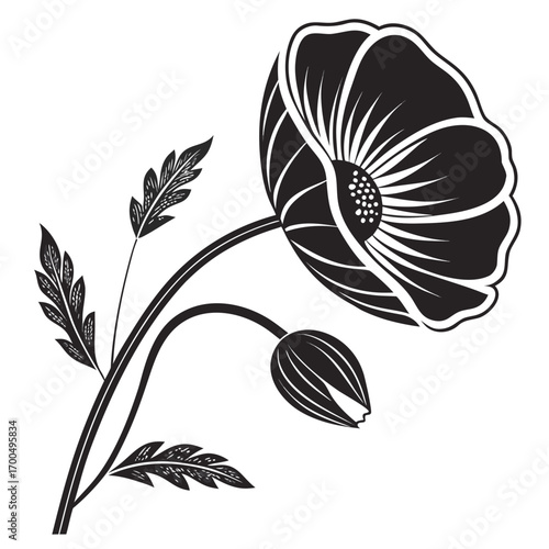 Stylized Black Poppy Flower with Bud Illustration.