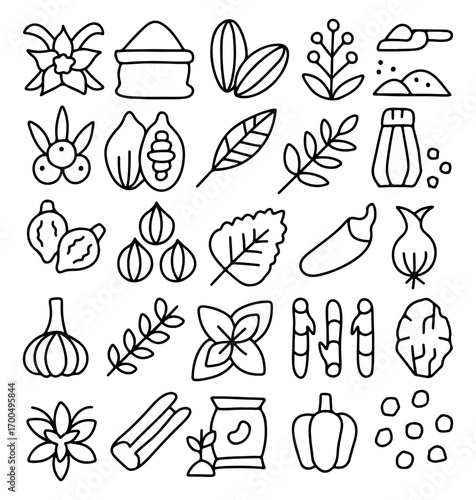 Hand drawn spices and herbs icon set, doodle seasoning and cooking ingredients, organic food illustration, garlic, chili, leaves, seeds, pepper, nutmeg, kitchen doodle vegetable sketch