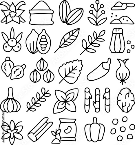 Hand drawn spices and herbs icon set, doodle seasoning and cooking ingredients, organic food illustration, garlic, chili, leaves, seeds, pepper, nutmeg, kitchen doodle vegetable sketch
