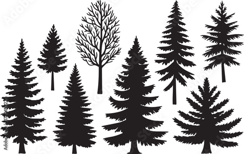 detailed douglas fir silhouette vector illustrations for woodlands environmental design botanical presentations