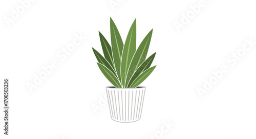 A potted succulent plant with green lance shaped leaves in a white striped pot on a white background