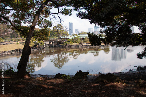 Garden with reflections on pond, Hamarikyu Gardens, Tokyo