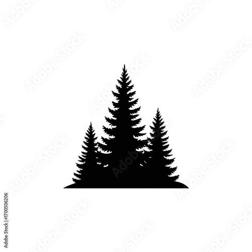 Pine Trees Forest Silhouette