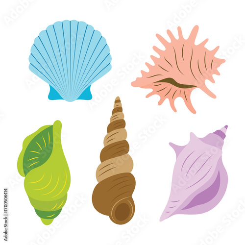 cartoon seashell set isolated