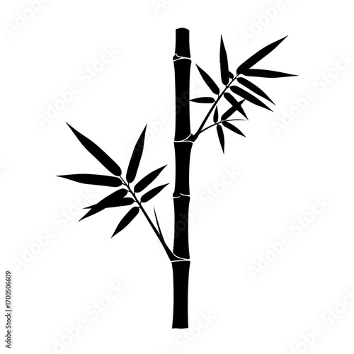 Bamboo Stem with Leaves Silhouette