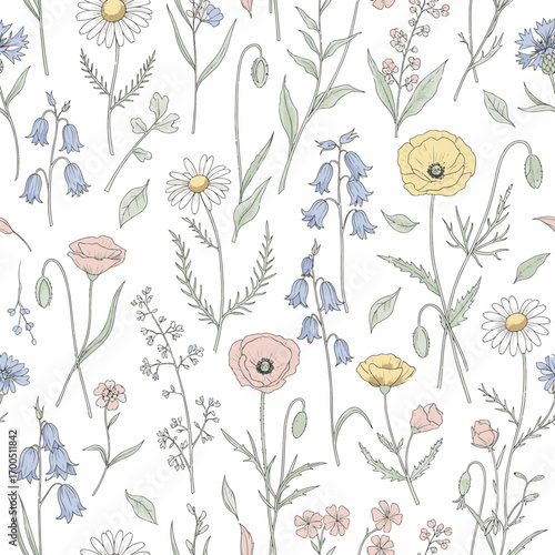 Delicate wildflowers seamless pattern with daisy, poppy, and bluebell illustrations, seamless pattern, Stock royalty free image.
