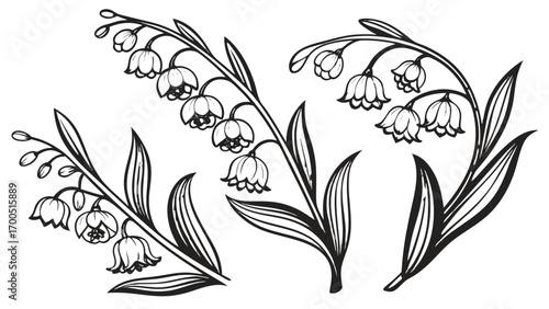 A delicate black and white illustration of three lily of the valley flower stems with detailed leaves and bell-shaped blossoms.