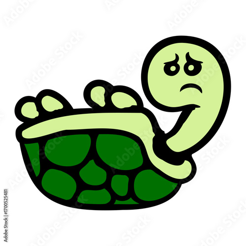 Turtle lying on its back shell sad helpless help