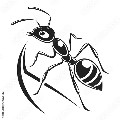 Stylized black ant illustration with abstract curved lines