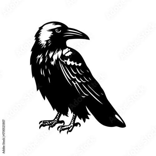 Standing Crow Black and White Illustration