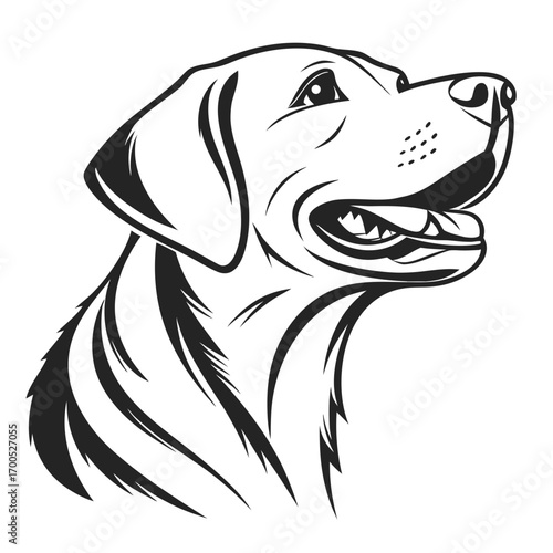 Stylized black and white line art portrait of a labrador retriever dog
