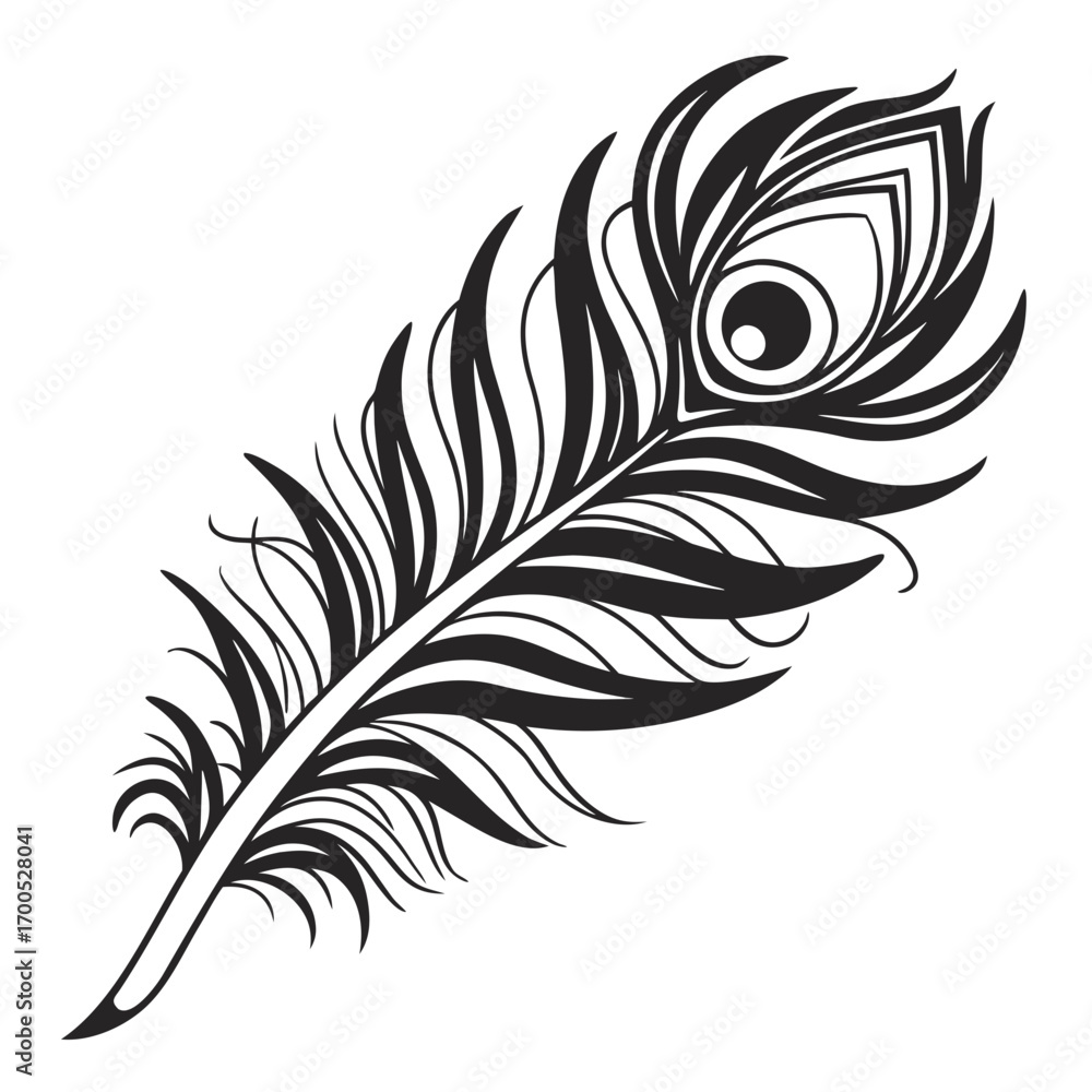 Obraz premium Elegant black and white peacock feather illustration