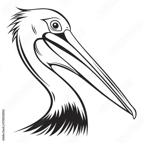 Stylized black and white illustration of a pelican head and neck