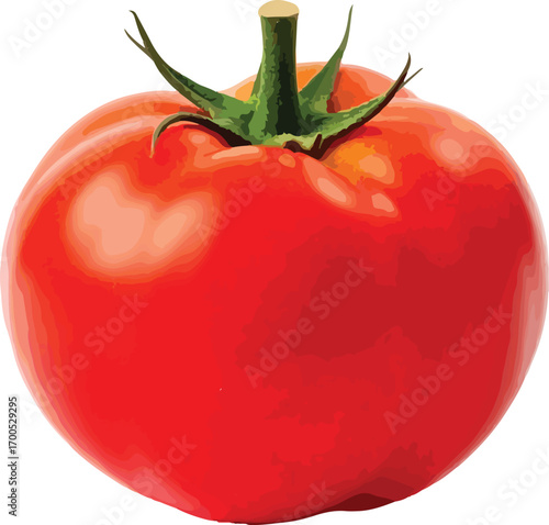 tomato isolated on white