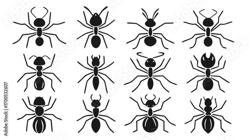 Diverse Ant Silhouettes Collection ants insect