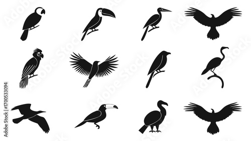 Exotic Birds Silhouette Collection flying birds tropical birds