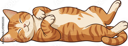 Ginger Cat Sleeping Belly Up – Hand Drawn Vector