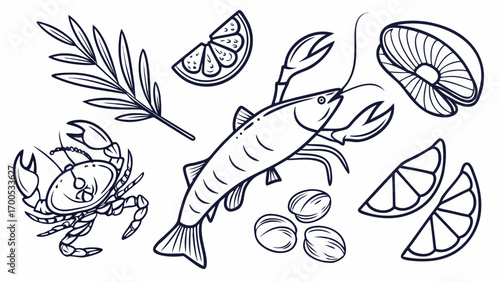 Collection of seafood and citrus fruit illustrations.