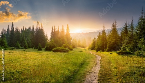 Forest Glade With A Path On The Background Of The Sky With The Rising Sun