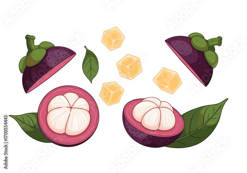 Juicy tropical mangosteen fruit slices and cubes with green leaves healthy food illustration