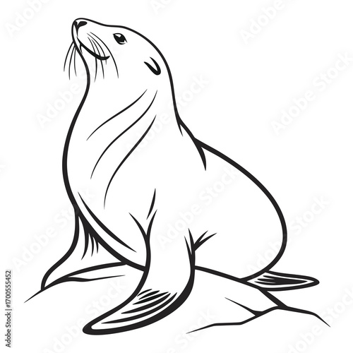 Minimalist outline seal logo design with vibrant color options and clean typography